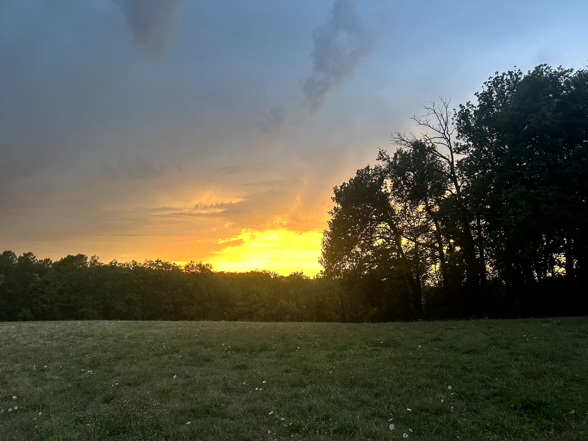 Coucher de soleil sur les prairies du domaine