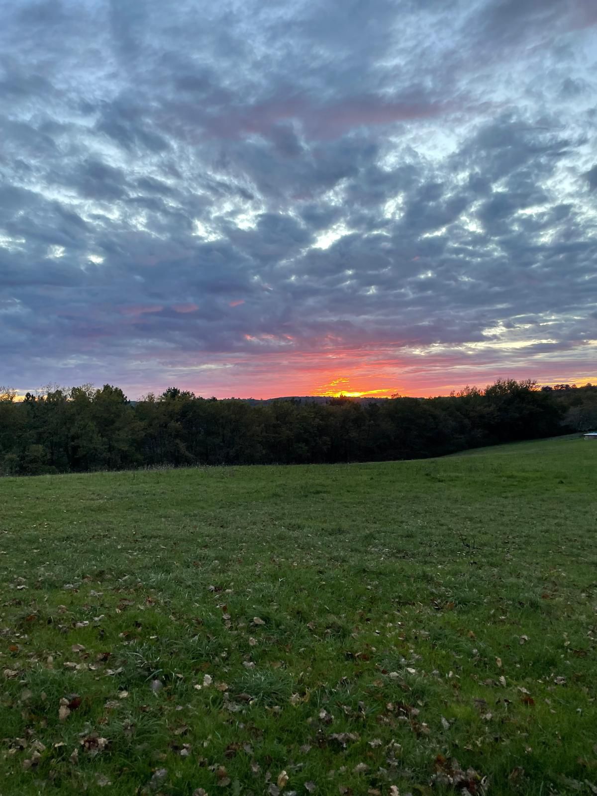 Un soir de novembre au Domaine d'Empié