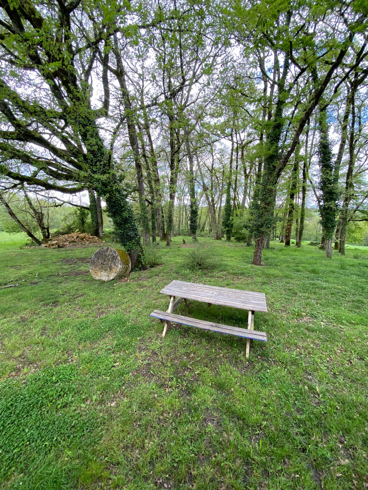 Sous-bois et table de pique-nique au Domaine d'Empié